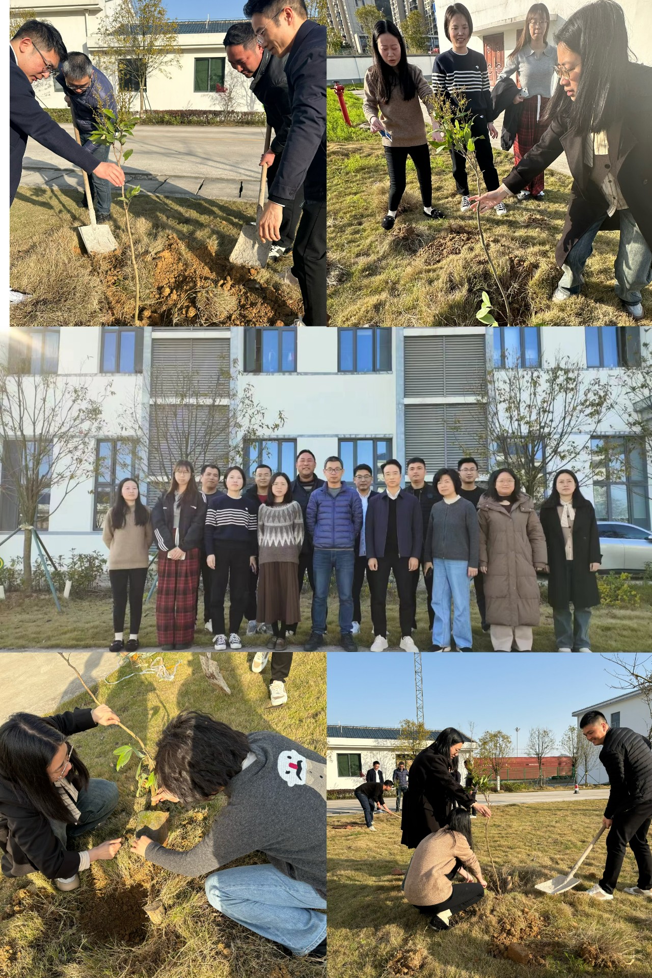 2024-3-12綠色陸港，美麗寧德，阮克妙拍攝.jpg